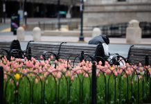 Community courts and the homeless: Do these programs make a difference?